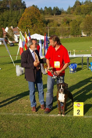 www.boxer-show.eu
